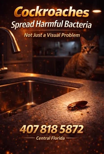 #PestControl #PestControlServices #Orlandoflorida #Exterminator #OrlandoFL