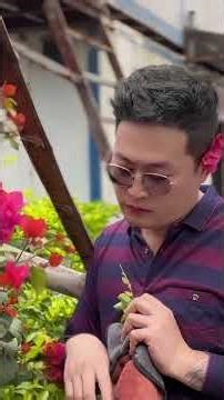 中文，英文，人生，小陈，鸡养殖