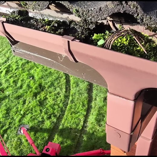 The Trouble with Leaf Guards in Downpipes