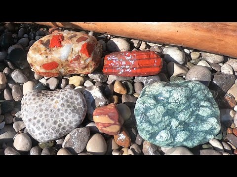 First Rock Hunt of the Season on My Favorite Beach