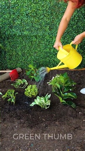 Grow Your Dream Garden: Genius Plant Secrets! 🪻