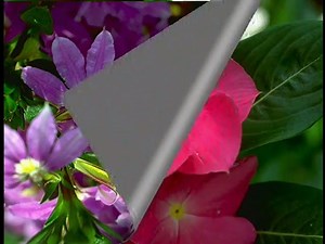 Baby Einstein: Language Nursery Remake (2000)