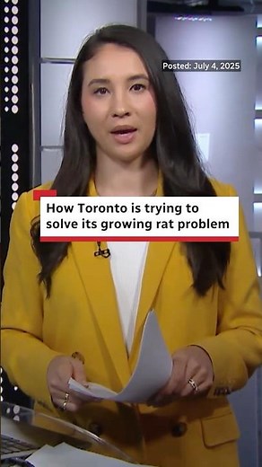 Toronto has a rat problem. Here's how the city is trying to solve it