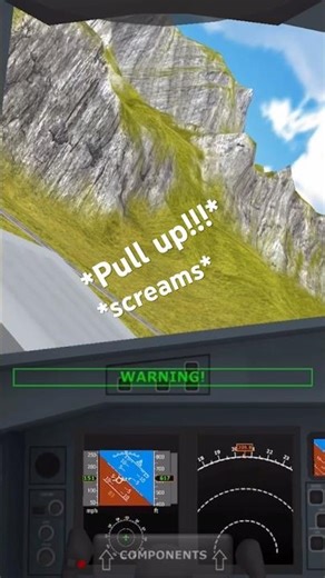 Usps Airlines Flight 2976