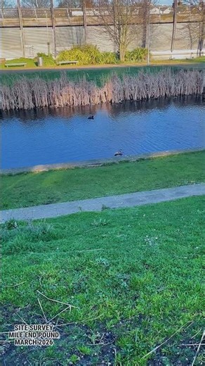 UK Drone Site Survey Practice Mile End Pond March 2026