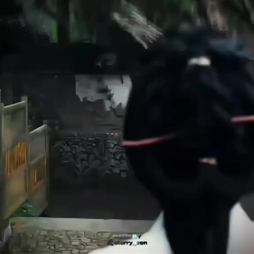 TikTok Trend Analysis: Linziye's Latest Video