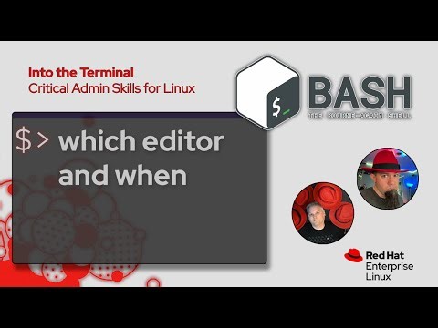 Vi vs. vim vs. nano vs. emacs (part1) | Into the Terminal 175