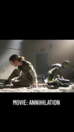 Movies and Memes on TikTok