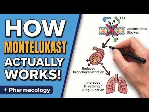 Montelukast in 10 Minutes: Mechanism, Dosing, Side Effects & Clinical Pearls