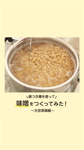 エムケー精工もちブレンダー公式 on Instagram: "実はもちつき機では味噌づくりの仕込みもできるんです😲 今回は2升タイプRM-201SNを使って、味噌づくりに挑戦してみました💪 【味噌の材料】できあがり約4.5㎏ 〇材料〇 ・大豆⇒1kg ・米麹⇒1㎏ ・塩⇒400g ・焼酎or食品用アルコール⇒適量 ※必ずアルコール度数35%以上のものを使う 〇道具〇 ・仕込み用容器 ・なべ ・ざる ・大きめのボウル ・落しぶた ・重石 ・ラップ ・(なくても可)ポリ袋 【大豆準備編】 1．大豆をはかってよく洗い、大豆の高さの3～4倍の水に10～12時間ひたす 2．ひたしておいた大豆とたっぷりの水をなべに入れ、沸騰後中火で4～6時間、アク取りと水差しをしながら大豆を指で軽くつまんでつぶれる程度まで煮る 3．煮えた大豆をざるにあけて煮汁をきり、しゃもじで混ぜながら5分程度熱を逃がす 📌煮汁は後で使うので、捨てずに残しておく 吸水が足りないと豆の煮る時間が余分にかかってしまうので、必ず10時間は水にひたしましょう。 しっかり水を吸わせると大豆もふっくら大きくなっていますね🎵 次回