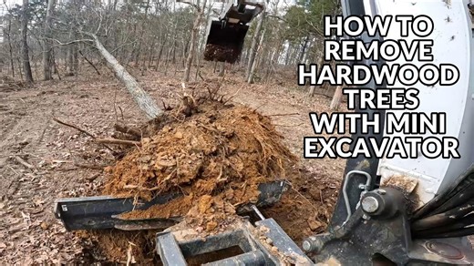 How to safely pull hardwood trees with a mini excavator