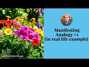 Manifesting Analogy #1 (in real life example)