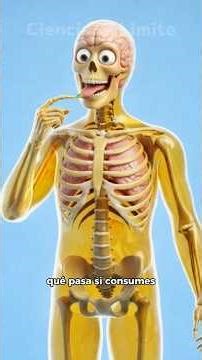 What happens if you take LSD? 7 phases of the “trip” #funfacts #humanbody