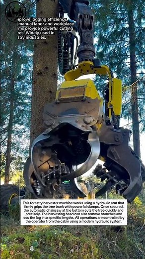 Super Fast Automatic Tree Cutting Machine