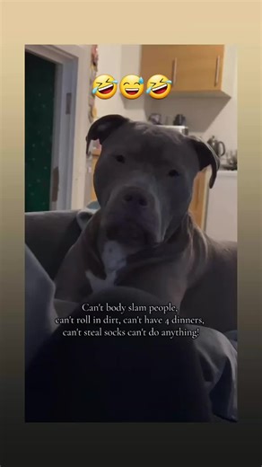 James Foster jones (@james.foster.jone)’s videos with original sound - James Foster jones