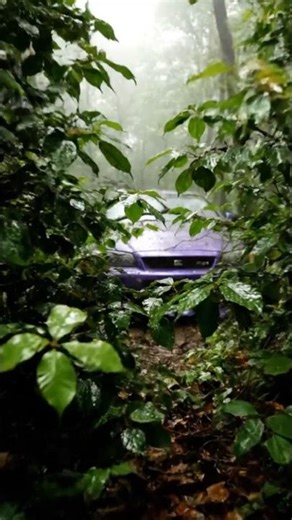 2002 Abandoned Nissan Skyline GT-R R34 – Rare Midnight Purple Restoration