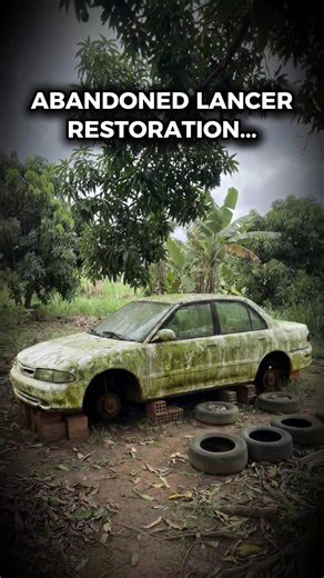 Percepcar USA on Instagram: "I’m going to RESTORE this MITSUBISHI LANCER that was abandoned for over 12 YEARS. Follow our profile to see more of these videos. 📲 And don’t forget to like and share this video. 👍 #detailing #car #carwash #cars #restoration #cleaning #asmr #satisfying #percepcar #abandonedcar #abandoned #detailgeek #percepcar #carcleaning #carwash #cardetailing"