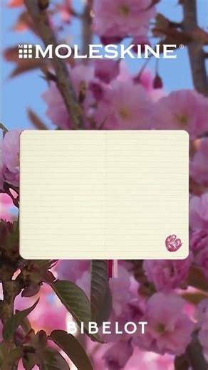 Zápisníky Moleskine Sakura