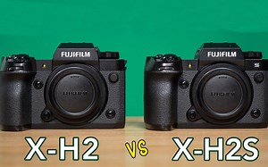 富士 X-H2 vs X-H2S - 哪一个适合鸟类摄影？-全面测评