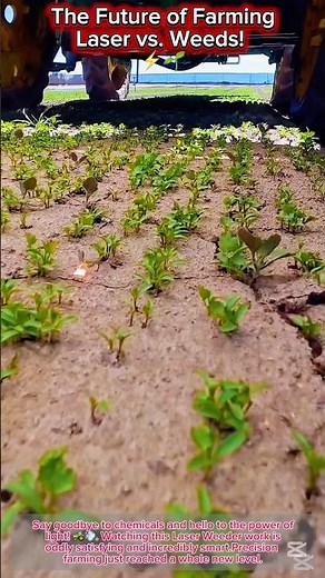The Future of Farming: Laser vs. Weeds! ⚡️🌱