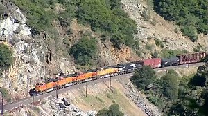 4.6K views · 131 shares | About half way through this short clip we...