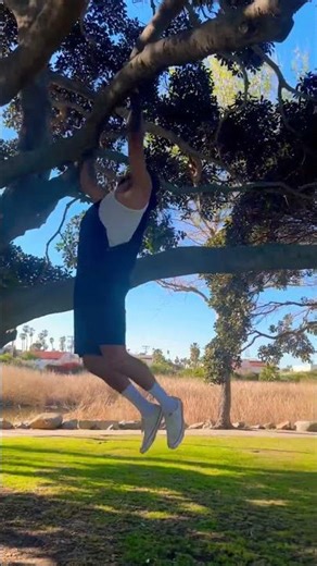 Climbing trees, exercising. #workout #exercise #pullups #fun