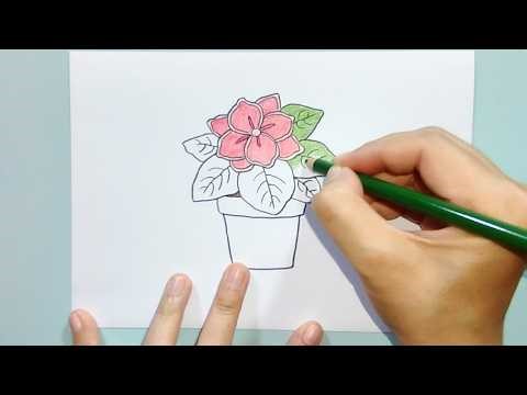 How to Draw Flower Begonia Easy and Beautiful