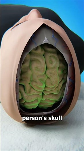 "Is It Possible to Swap Brains? The Neuroscience Behind It" 🤔