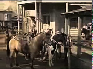 Bonanza - The Stranger - Free Old TV Shows Full Episodes