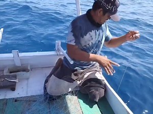Ruby snapper fishing techniques in the sea #fishing #fishinglife #pesca #fyp #fishingvideos | Zami Akbar