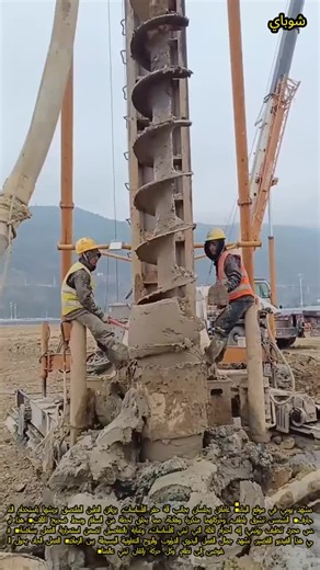 Explore the Magic of AI with Balli Bot Mogis