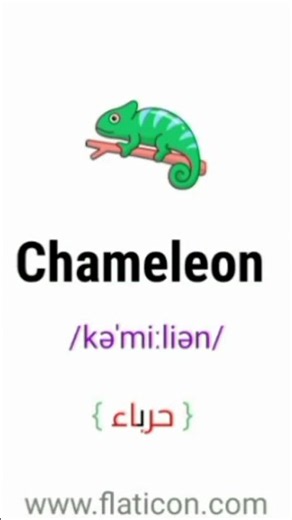 حرباية بالانجليزي - CHAMELEON PRONUNCIATION