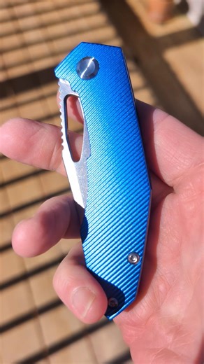 Shiny Blue Sweetness #youtubeshorts #shorts