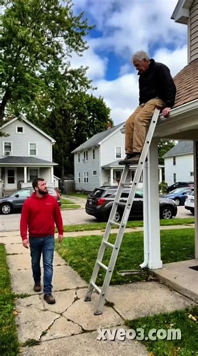 A Young Man Made a Poor Choice ... but the Dog Was Incredible #dog #kindness #Heartwarming #usa #drama