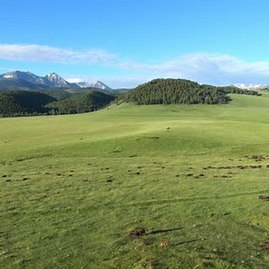 Ted owns and operates 17 ranches with over 45,000 bison. That’s more than an investment, that’s a commitment to preserving an American icon. | Ted's Montana Grill
