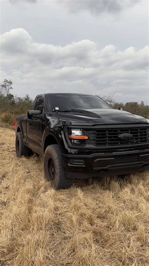 Explore the Ford F150: Power and Performance