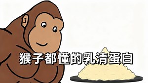 【中配】猩猩科普乳清蛋白 - ApeNess