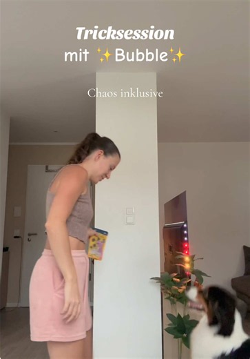 Anzeige | PetsDeli Also wir ihr seht: nicht nur das Futter ist der Hammer, sondern vor allem auch die Leckerchen 😂 Ich würde sagen man sieht sehr gut, was Bubble davon hält 🙂‍↔️🫶🏼 Mit unserem Code Bubble25 könnt ihr 25% bei @PetsDeli sparen, also schaut mal rein - Link dazu ist in unserer Bio hier 🥰