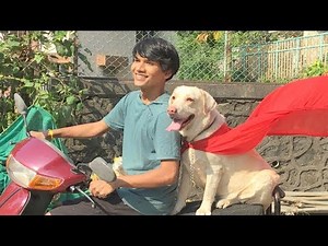 DOG SHORT FILM | HERO POCKET | DIWALI SPECIAL | LABRADOR RETRIEVER || MOHAK MEET