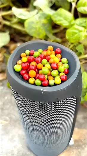 JBL Speaker Candy Bass Test 🍬🔊 | Can Bass Shake the Candy? #shorts