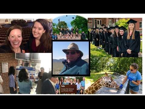 MAPP Informational Webinar with Dr. Allen Rutberg (Director), Feb. 26, 2026