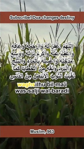 How to help the deceased - dua from the Sunnah Muslim 963 #dua #islam #shorts