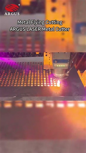 Flying Cutting & High-Speed Hole Piercing | ARGUS LASER Metal Cutting Machine