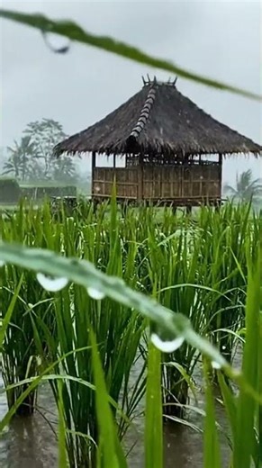 Relaxing Rain rain sounds for sleeping Ultra Relaxing Night