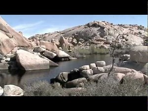 Joshua Tree National Park