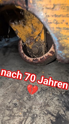 Jungheinrich Ant after 70 years 💔