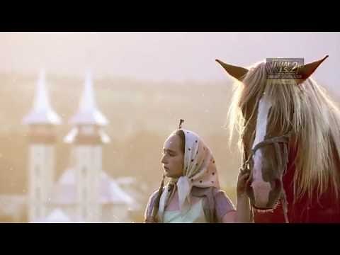 Introducing Panasonic LUMIX G80/G81/G85 - Style & Feature -