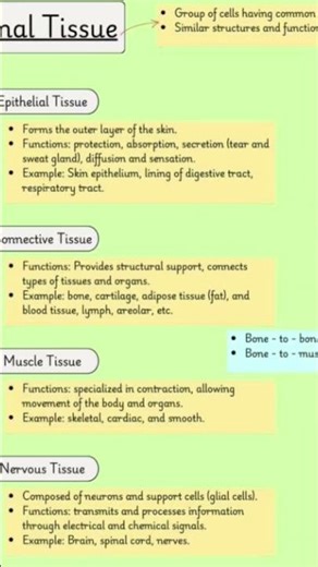 Type of Animal/Plant tissues#biology#sciencepassion#science#biologyforkids#education#naturalscience