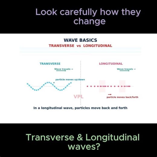 Transverse vs Longitudinal Waves Explained Visually #physicsshorts #students