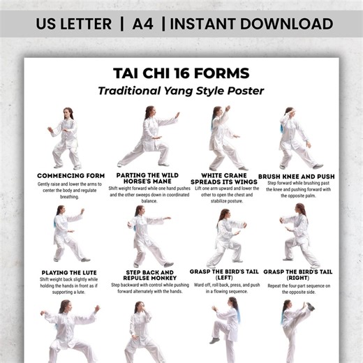 Tai Chi 16 Forms Printable PDF, Yang Style Tai Chi Poster, Traditional Form Chart, Step by Step Sequence